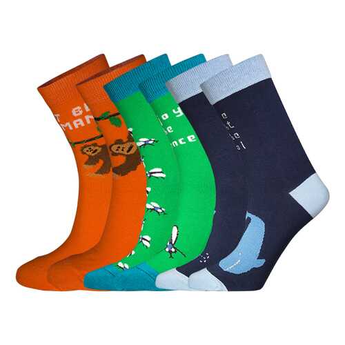 Подарочный набор носков женский big bang socks box3a1212 синий/зеленый/оранжевый 35-38 в Зарина